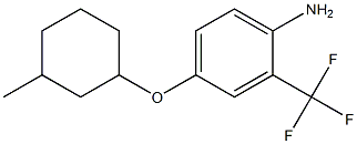 4-[(3-methylcyclohexyl)oxy]-2-(trifluoromethyl)aniline