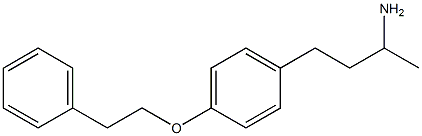 4-[4-(2-phenylethoxy)phenyl]butan-2-amine Struktur