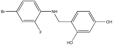 4-{[(4-bromo-2-fluorophenyl)amino]methyl}benzene-1,3-diol,,结构式
