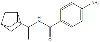 4-amino-N-(1-{bicyclo[2.2.1]heptan-2-yl}ethyl)benzamide|