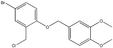 4-bromo-2-(chloromethyl)-1-[(3,4-dimethoxyphenyl)methoxy]benzene Structure