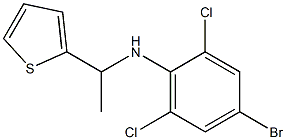 4-bromo-2,6-dichloro-N-[1-(thiophen-2-yl)ethyl]aniline,,结构式