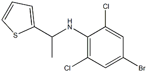 4-bromo-2,6-dichloro-N-[1-(thiophen-2-yl)ethyl]aniline Structure