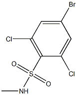 4-bromo-2,6-dichloro-N-methylbenzene-1-sulfonamide Structure