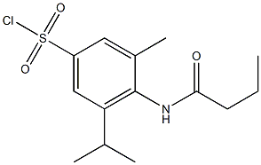 4-butanamido-3-methyl-5-(propan-2-yl)benzene-1-sulfonyl chloride Structure