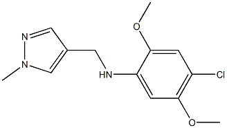 4-chloro-2,5-dimethoxy-N-[(1-methyl-1H-pyrazol-4-yl)methyl]aniline,,结构式