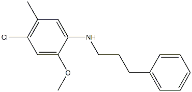 4-chloro-2-methoxy-5-methyl-N-(3-phenylpropyl)aniline,,结构式
