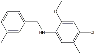4-chloro-2-methoxy-5-methyl-N-[(3-methylphenyl)methyl]aniline,,结构式