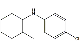 4-chloro-2-methyl-N-(2-methylcyclohexyl)aniline