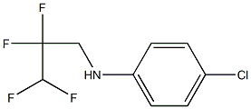 4-chloro-N-(2,2,3,3-tetrafluoropropyl)aniline 结构式