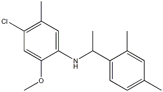 4-chloro-N-[1-(2,4-dimethylphenyl)ethyl]-2-methoxy-5-methylaniline 化学構造式