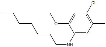 4-chloro-N-heptyl-2-methoxy-5-methylaniline Structure