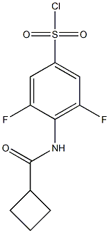 4-cyclobutaneamido-3,5-difluorobenzene-1-sulfonyl chloride Struktur