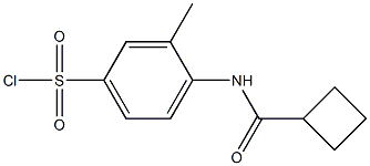 4-cyclobutaneamido-3-methylbenzene-1-sulfonyl chloride,,结构式