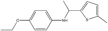 4-ethoxy-N-[1-(5-methylthiophen-2-yl)ethyl]aniline 化学構造式