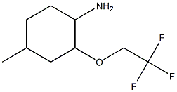 4-methyl-2-(2,2,2-trifluoroethoxy)cyclohexanamine 结构式