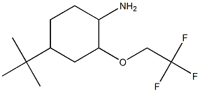 4-tert-butyl-2-(2,2,2-trifluoroethoxy)cyclohexanamine Struktur