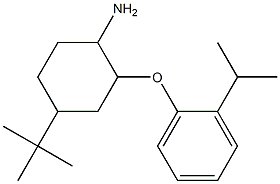 4-tert-butyl-2-[2-(propan-2-yl)phenoxy]cyclohexan-1-amine Struktur