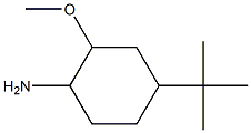 4-tert-butyl-2-methoxycyclohexanamine 结构式