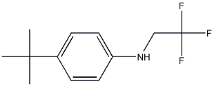 4-tert-butyl-N-(2,2,2-trifluoroethyl)aniline Structure