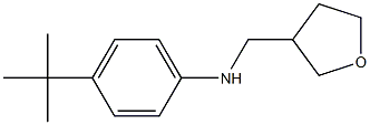 4-tert-butyl-N-(oxolan-3-ylmethyl)aniline 化学構造式