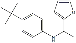 4-tert-butyl-N-[1-(furan-2-yl)ethyl]aniline Structure
