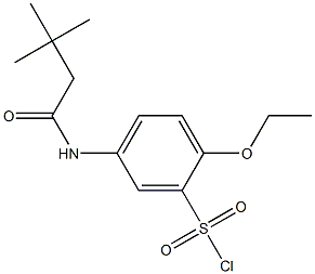 5-(3,3-dimethylbutanamido)-2-ethoxybenzene-1-sulfonyl chloride