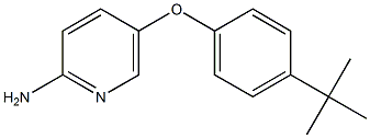 5-(4-tert-butylphenoxy)pyridin-2-amine Struktur