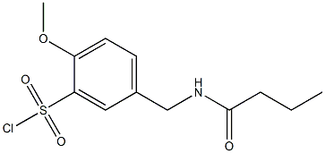 5-(butanamidomethyl)-2-methoxybenzene-1-sulfonyl chloride Structure