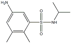 5-amino-2,3-dimethyl-N-(propan-2-yl)benzene-1-sulfonamide|