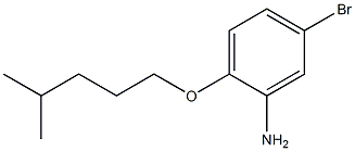5-bromo-2-[(4-methylpentyl)oxy]aniline Struktur