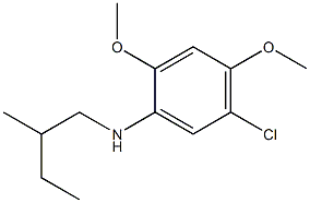 5-chloro-2,4-dimethoxy-N-(2-methylbutyl)aniline Structure