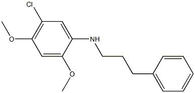 5-chloro-2,4-dimethoxy-N-(3-phenylpropyl)aniline 结构式