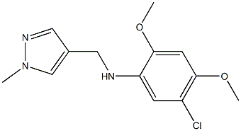 5-chloro-2,4-dimethoxy-N-[(1-methyl-1H-pyrazol-4-yl)methyl]aniline Structure