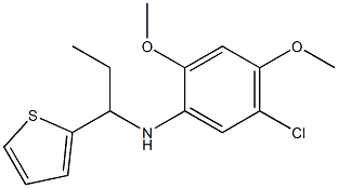 5-chloro-2,4-dimethoxy-N-[1-(thiophen-2-yl)propyl]aniline 结构式