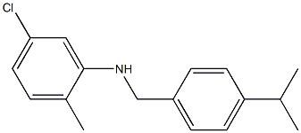 5-chloro-2-methyl-N-{[4-(propan-2-yl)phenyl]methyl}aniline,,结构式