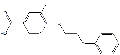  5-chloro-6-(2-phenoxyethoxy)pyridine-3-carboxylic acid