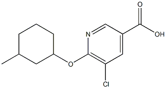 5-chloro-6-[(3-methylcyclohexyl)oxy]pyridine-3-carboxylic acid,,结构式