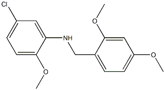 5-chloro-N-[(2,4-dimethoxyphenyl)methyl]-2-methoxyaniline,,结构式