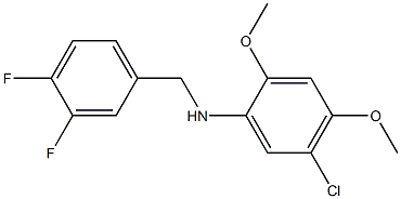 5-chloro-N-[(3,4-difluorophenyl)methyl]-2,4-dimethoxyaniline,,结构式