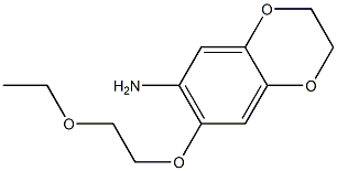 7-(2-ethoxyethoxy)-2,3-dihydro-1,4-benzodioxin-6-amine 结构式