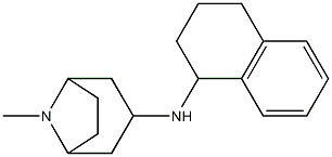 8-methyl-N-(1,2,3,4-tetrahydronaphthalen-1-yl)-8-azabicyclo[3.2.1]octan-3-amine 结构式
