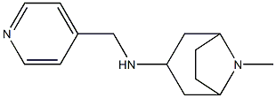 8-methyl-N-(pyridin-4-ylmethyl)-8-azabicyclo[3.2.1]octan-3-amine,,结构式