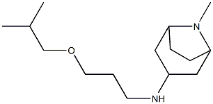 8-methyl-N-[3-(2-methylpropoxy)propyl]-8-azabicyclo[3.2.1]octan-3-amine 化学構造式