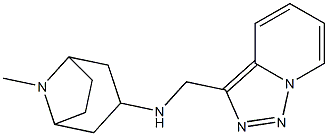 8-methyl-N-{[1,2,4]triazolo[3,4-a]pyridin-3-ylmethyl}-8-azabicyclo[3.2.1]octan-3-amine 结构式