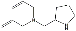 bis(prop-2-en-1-yl)(pyrrolidin-2-ylmethyl)amine Struktur