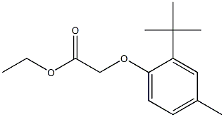 ethyl 2-(2-tert-butyl-4-methylphenoxy)acetate 化学構造式