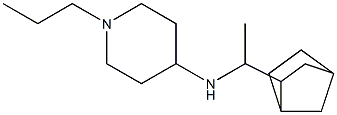 N-(1-{bicyclo[2.2.1]heptan-2-yl}ethyl)-1-propylpiperidin-4-amine Structure