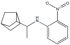 N-(1-{bicyclo[2.2.1]heptan-2-yl}ethyl)-2-nitroaniline Struktur