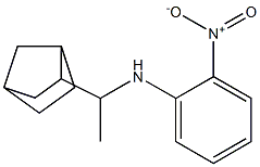 N-(1-{bicyclo[2.2.1]heptan-2-yl}ethyl)-2-nitroaniline Structure